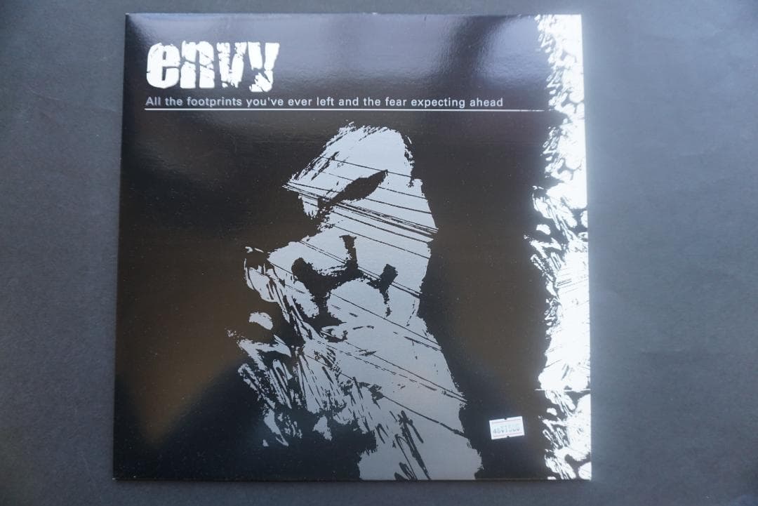 A*9様 ENVY/エンヴィー 　アナログレコード２枚セット