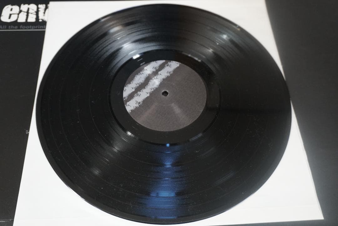 A*9様 ENVY/エンヴィー 　アナログレコード２枚セット