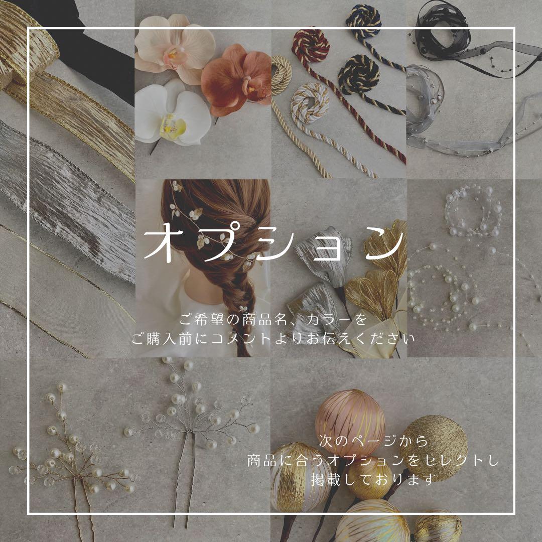 ちゃーみーさま専用ページ