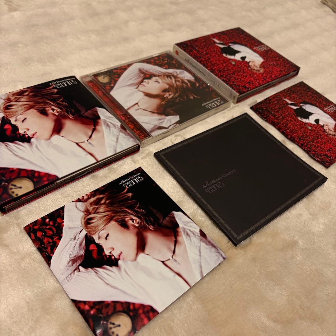 Acid Black Cherry Janne Da Arc豪華44点美品セット