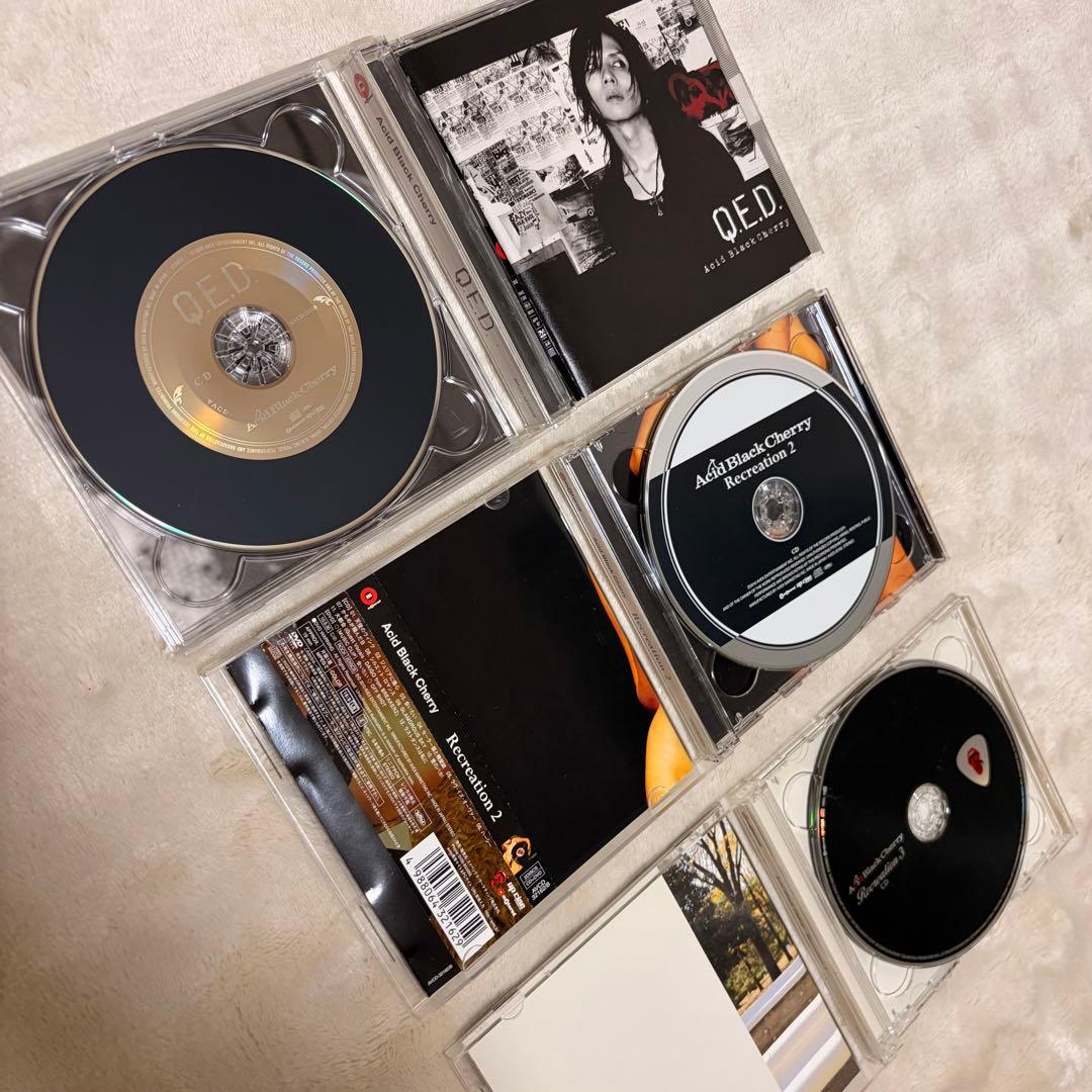 Acid Black Cherry Janne Da Arc豪華44点美品セット
