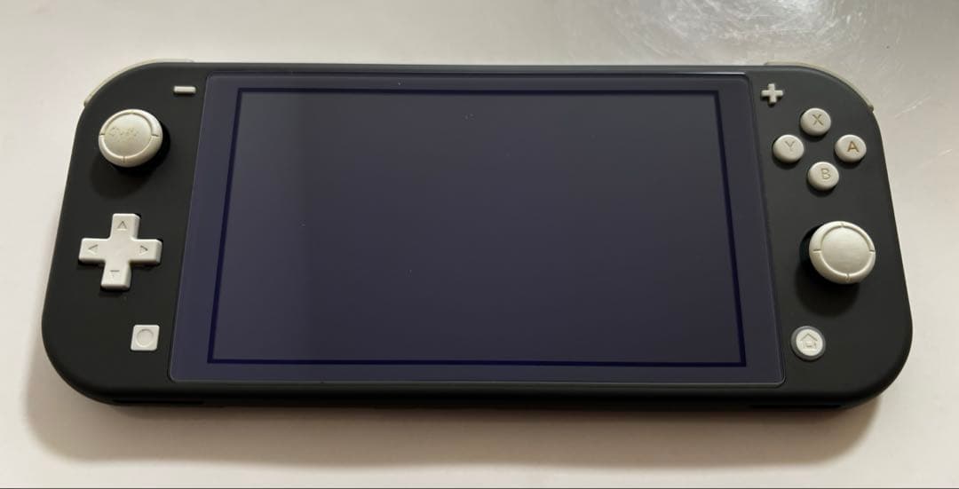 Nintendo Switch Lite ケース＋カバー付