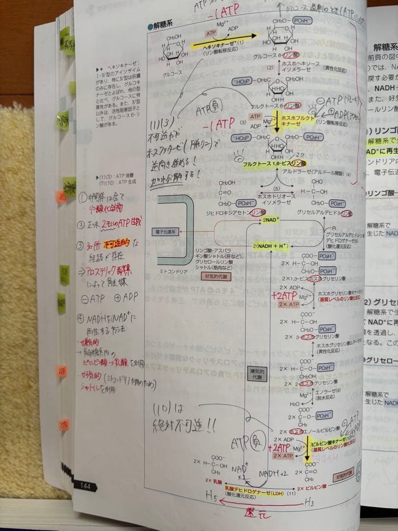 第109回薬剤師国家試験対策参考書の全巻セット　薬ゼミ講義の書き込み有り