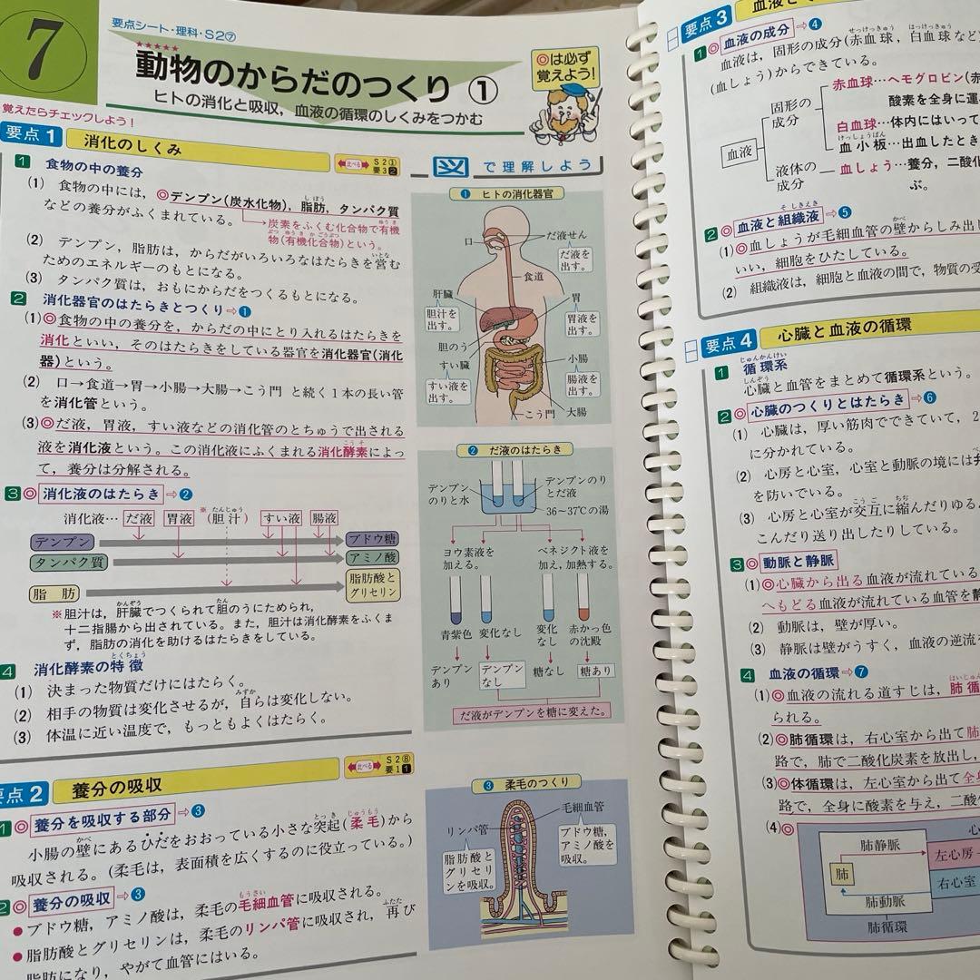 ファーストマニュアルａ　20冊セット