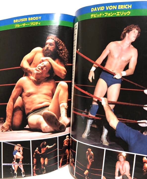 ■THE DIRECTORY OF トップレスラー 81■昭和56年発行■写真集