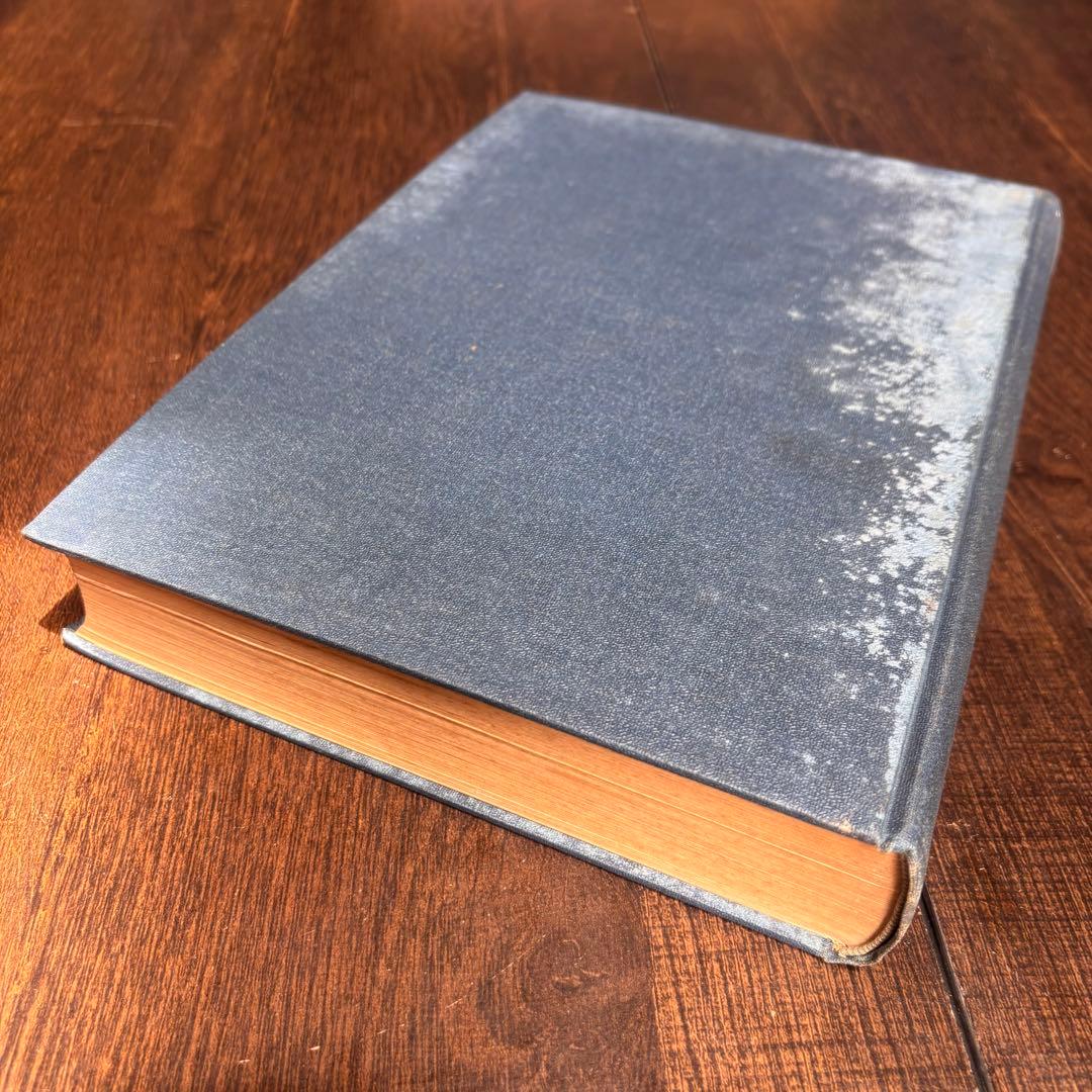 【初版】戦前古書　日本學術協會報告 第六巻 昭和五年 東京 古書 戦前 貴重