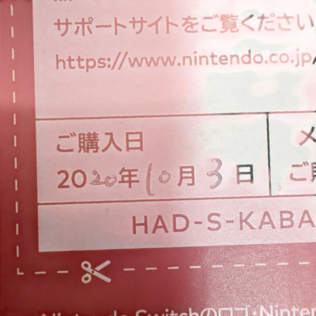 Nintendo Switch ニンテンドー　スイッチ