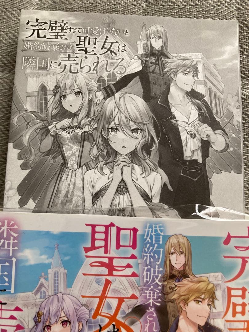 完璧すぎて可愛げがないと婚約破棄された聖女は隣国に売られる 1-7巻 特典付き
