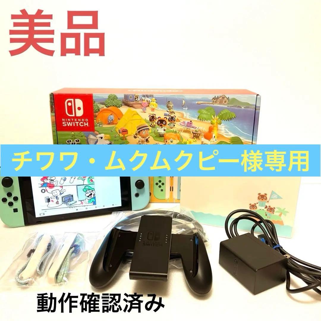 NintendoSwitch あつまれ どうぶつの森セット 本体
