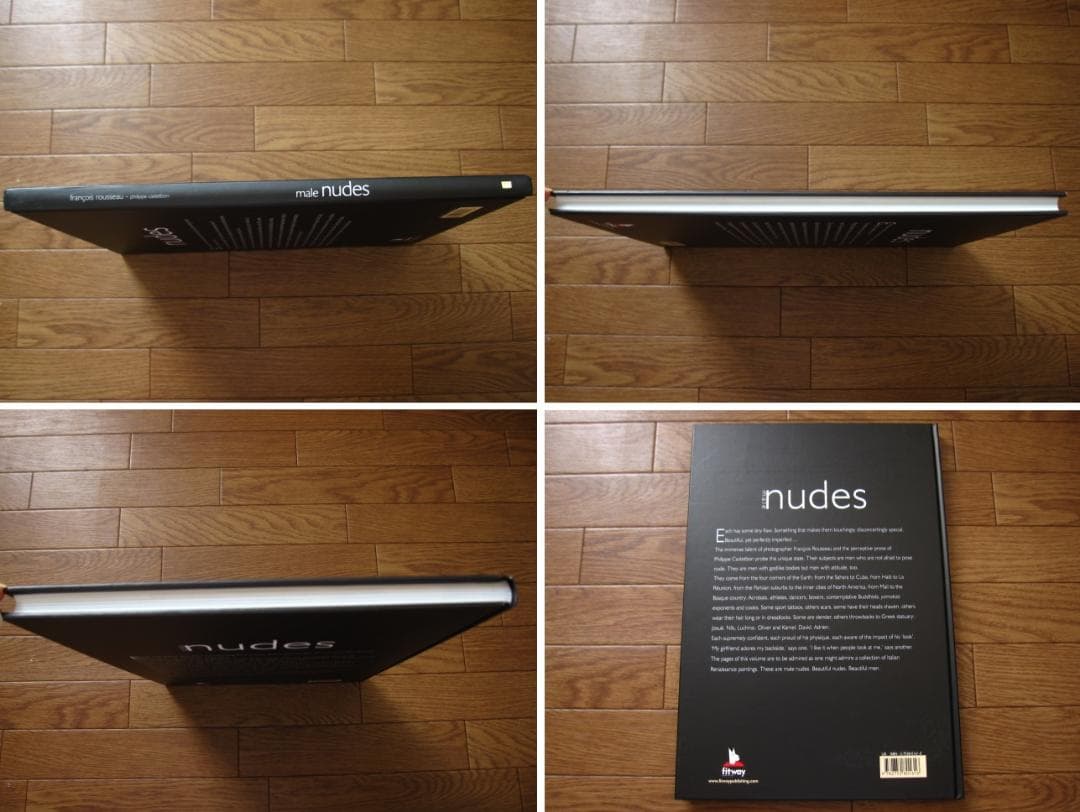 アート・デザイン・音楽 Male Nudes (Passionate Pursuits S.)