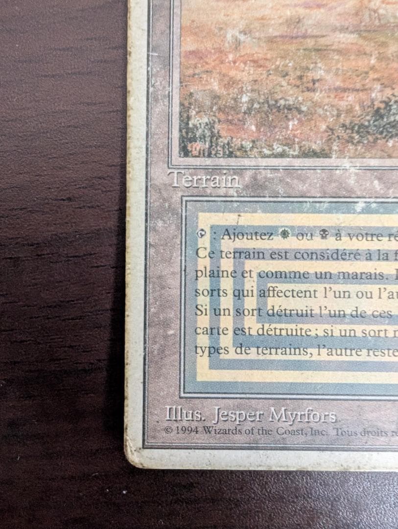 MTG Scrubland HP フランス語