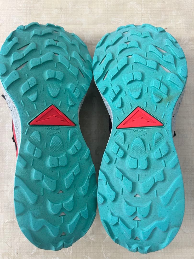27cm NIKE ナイキ DC8793-002 ペガサス トレイル 3 GTX