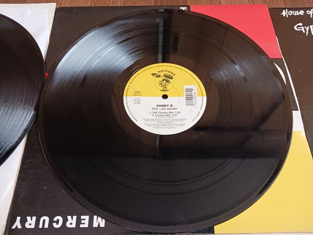 90's HOUSE MUSIC《レコード》12インチ盤9枚セット