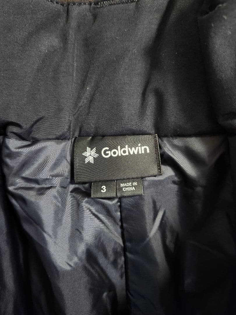 GOLDWIN GORE-TEX 2レイヤー Pants スキーウェア