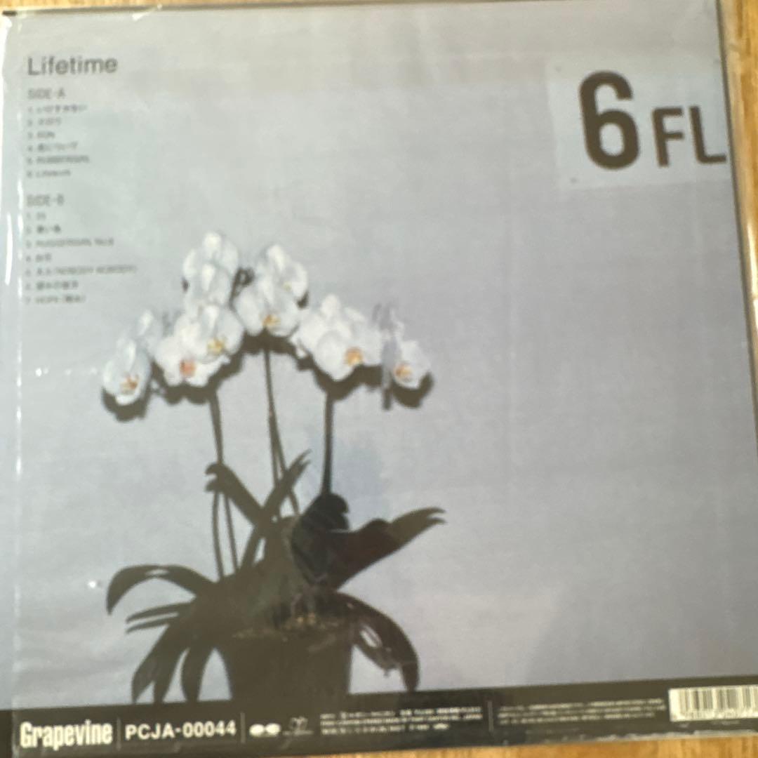 新品　グレイプバイン　GRAPEVINE LIFE TIME レコード
