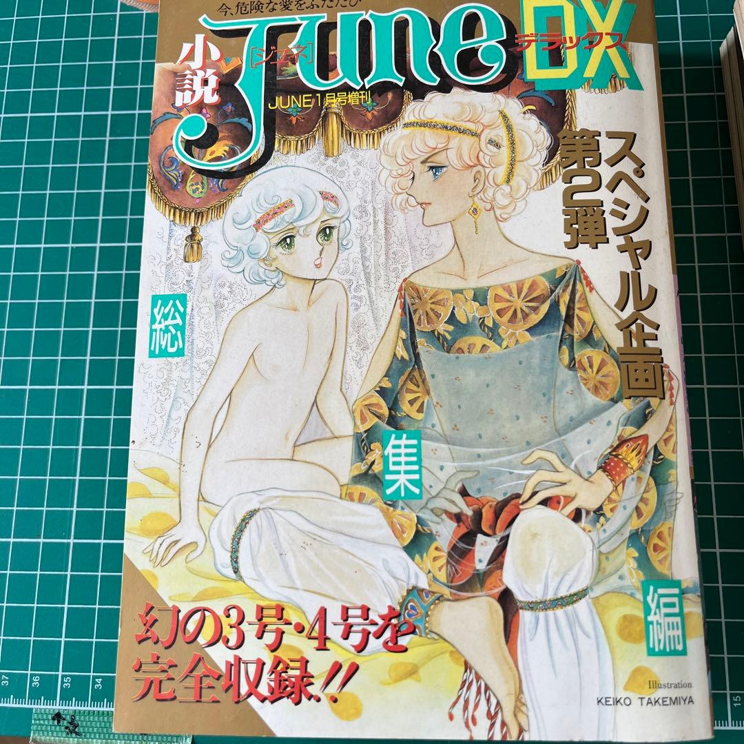 小説　June 153冊以上セット