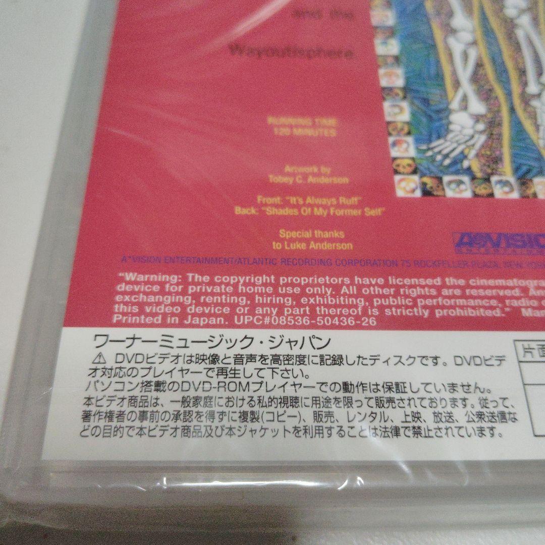 新品未開封 DVD 日本国内盤 スキッド・ロウ ロードキル